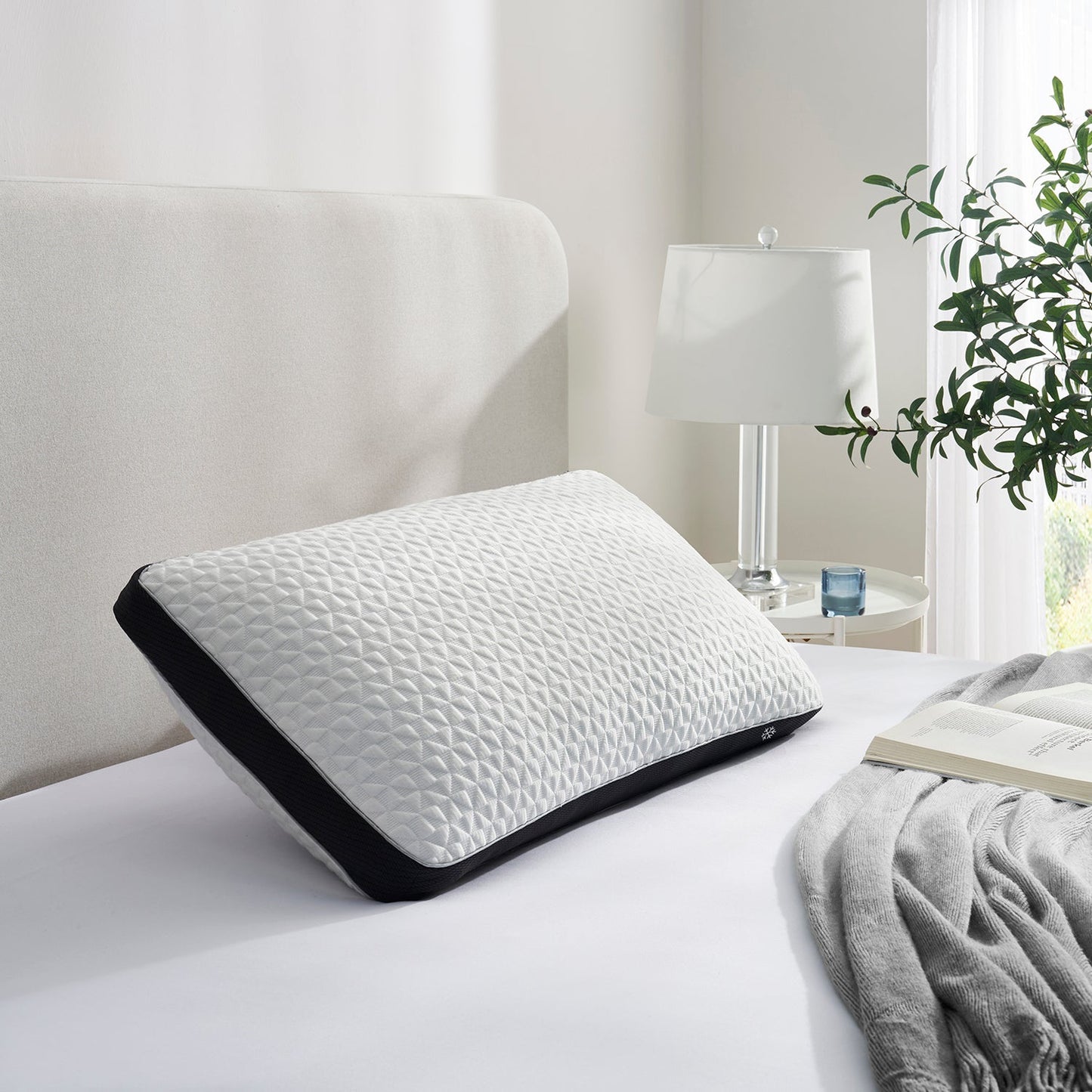 Cool Choice Pillow